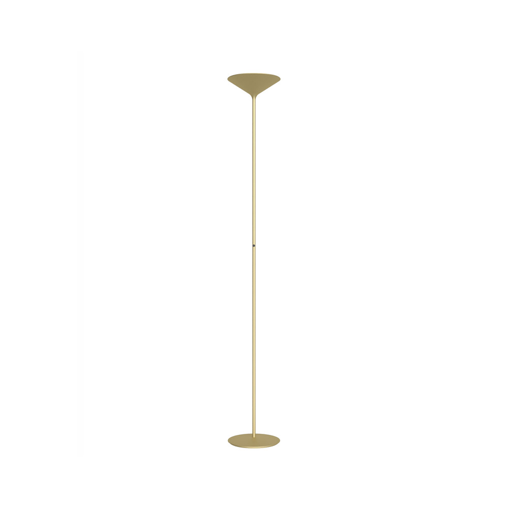 DRY F1 ORO
